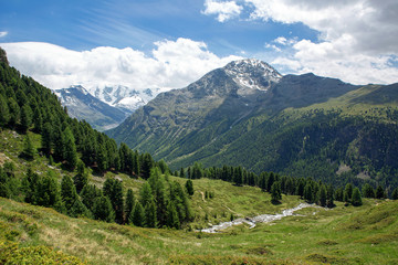Fototapeta na wymiar Pontresina valley in switzerland