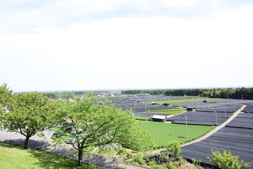 Kabusecha field, Yokkaichi, Mie, Japan