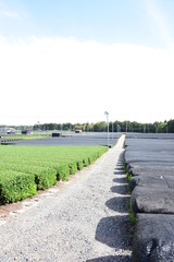 Kabusecha field, Yokkaichi, Mie, Japan