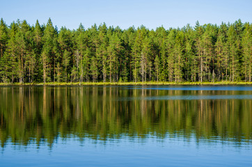 Fototapeta na wymiar Summer landscape of Karelia