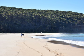 Couples on the beach