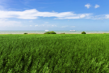 mer et campagne 