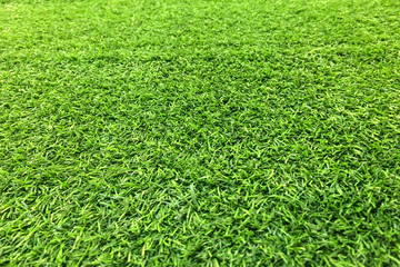 Artificial green grass background, top view