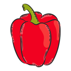 Vector hand drawn illustration. Isolated paprika. Detailed vegetarian food drawing. Farm market product.