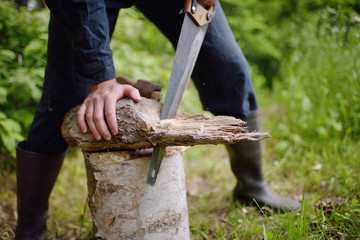 The carpenter saws a log the hand saw on a stub