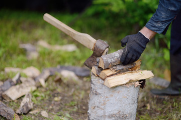 Firewood lies on a stub