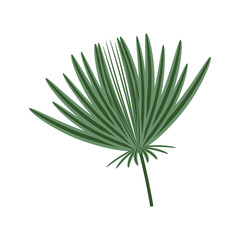 isolated plant leaves icon vector illustration graphic design