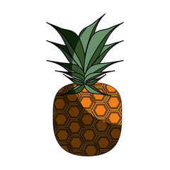 isolated pineapple fruit icon vector illustration graphic design