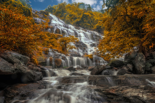 Mae Ya Waterfall ans Fallen leaves and leaves change color in Doi Inthanon National Park. © Atakorn