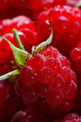 Berry raspberry close-up dew