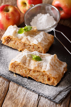 Tasty slice of apple strudel with powdered sugar and mint closeup. vertical