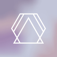 Wonderful geometric hexagon Logo shape consisting of lines on color gradient