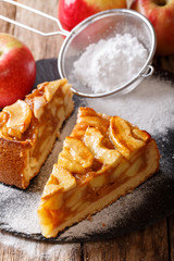 Sliced homemade warm apple pie close-up. vertical