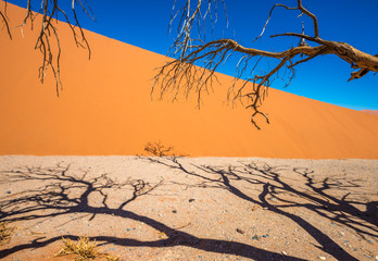 Fototapeta na wymiar Dead Camelthorn Trees and red dunes in Sossusvlei, Namib-Naukluft National Park, Namibia