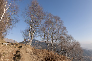 Val Grande, landscape