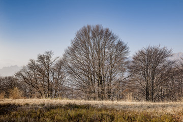 Val Grande, landscape