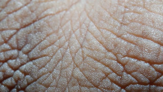 Close up of Human Skin Texture 
