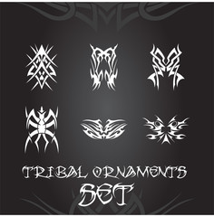 Tribal ornaments and design elements