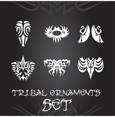 Tribal ornaments and design elements