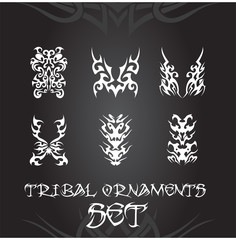 Tribal ornaments and design elements