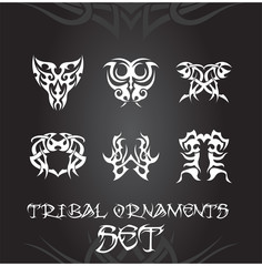 Tribal ornaments and design elements