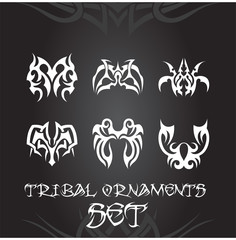 Tribal ornaments and design elements