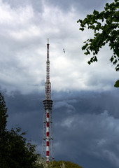 TV and radio tower, metal, trees, bird, sky with clouds