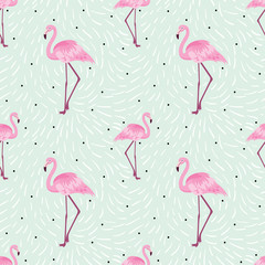 seamless pattern with flamingo. Collection of isolated animals in cartoon style