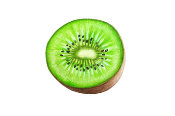 HAND DRAWING CRAYON - kiwi fruit
