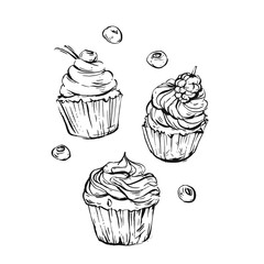 Hand drawn vector graphic sweet food design elements collection set with hand made modern graphic cupcakes with berries in black and white colors isolated.Wedding,birthday,sweet shop,logo