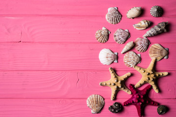Seashells on pink wooden background