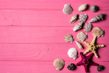 Seashells on pink wooden background