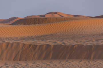 Wüste in goldenes Licht getaucht im Oman