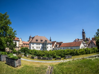 Fototapeta na wymiar Forchheimer Stadtgarten