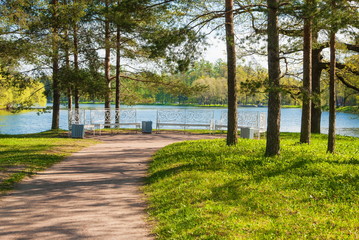 Ancient park with pines and benches on the shore of the lake