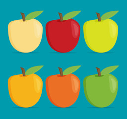 Flat vector apple set