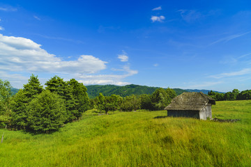 Fototapeta na wymiar Old wooden ruin house in the mountains of Fagaras Mountains in Romania