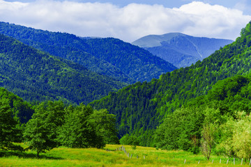 Beautiful mountain landscape in Carpathian mountains