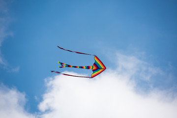 Kites in the sky