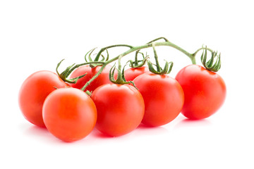 cherry tomatoes on a branch