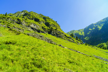 Naklejka premium Beautiful mountain landscape in Carpathian mountains