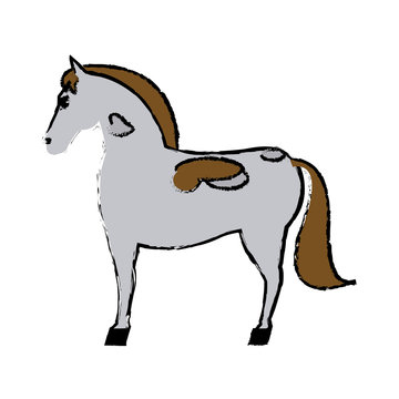 horse mammal farm domestic animal icon