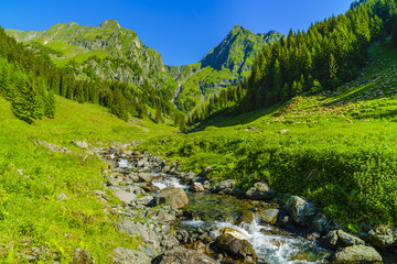 Beautiful scenery with a mountain river in the Fagarasi Mountains Romania
