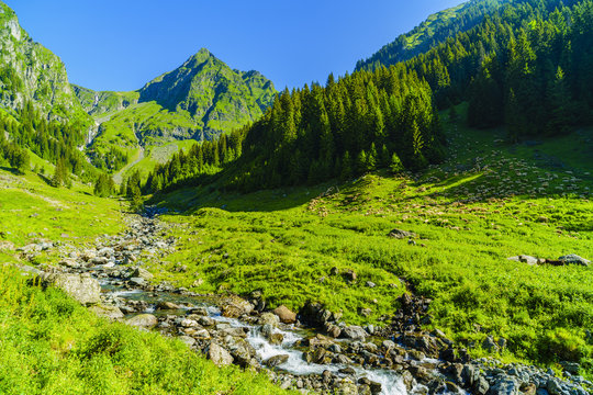 Beautiful scenery with a mountain river in the Fagarasi Mountains Romania