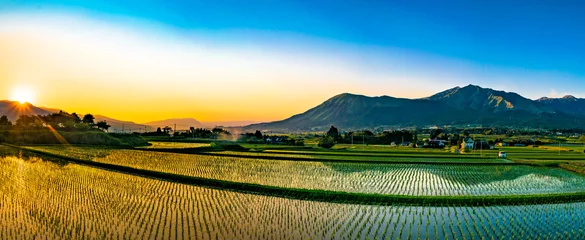 Fotobehang 南阿蘇村_田植え後の田んぼに映える夕陽と阿蘇の風景 © narutake