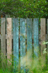 Old shabby wooden fence