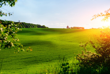 Morning landscape with green field, traces of tractor in sun rays