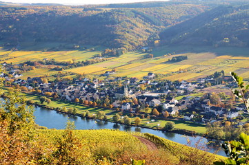 Weinort Lösnich an der Mosel von oben gesehen
