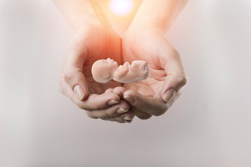 embryo silhouette in woman hand