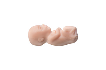 embryo silhouette in woman hand